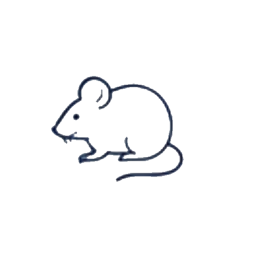 Rats & Mice