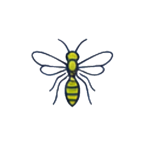 Wasps